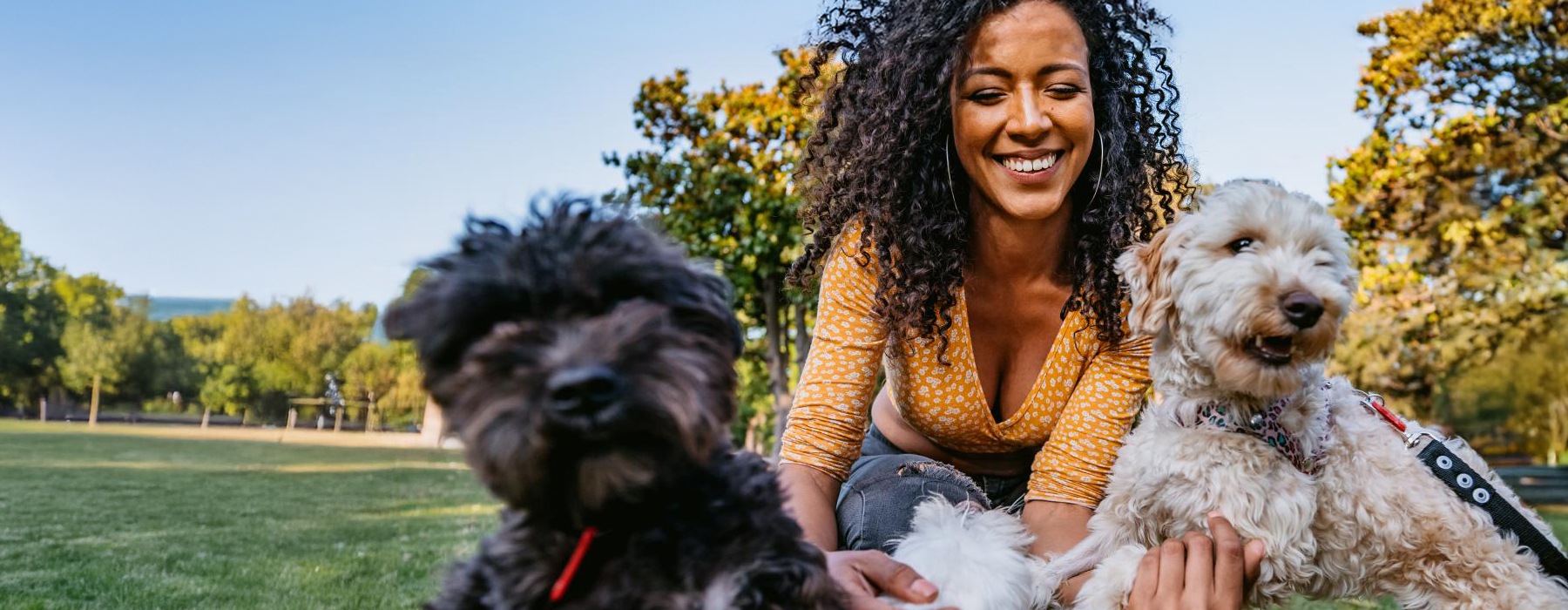 a woman with her dogs